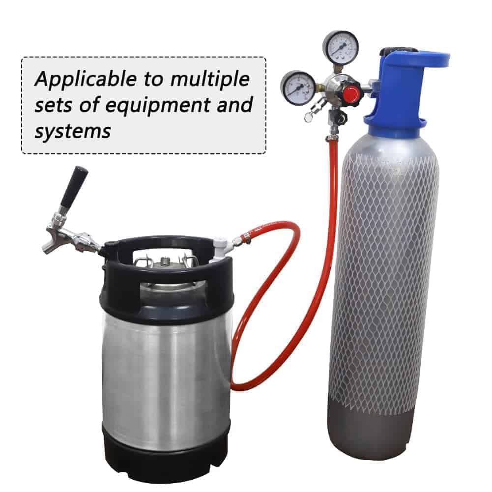 Conjunto de Conexión Rápida para Barriles de Maíz PERA CO2 - Imagen 7