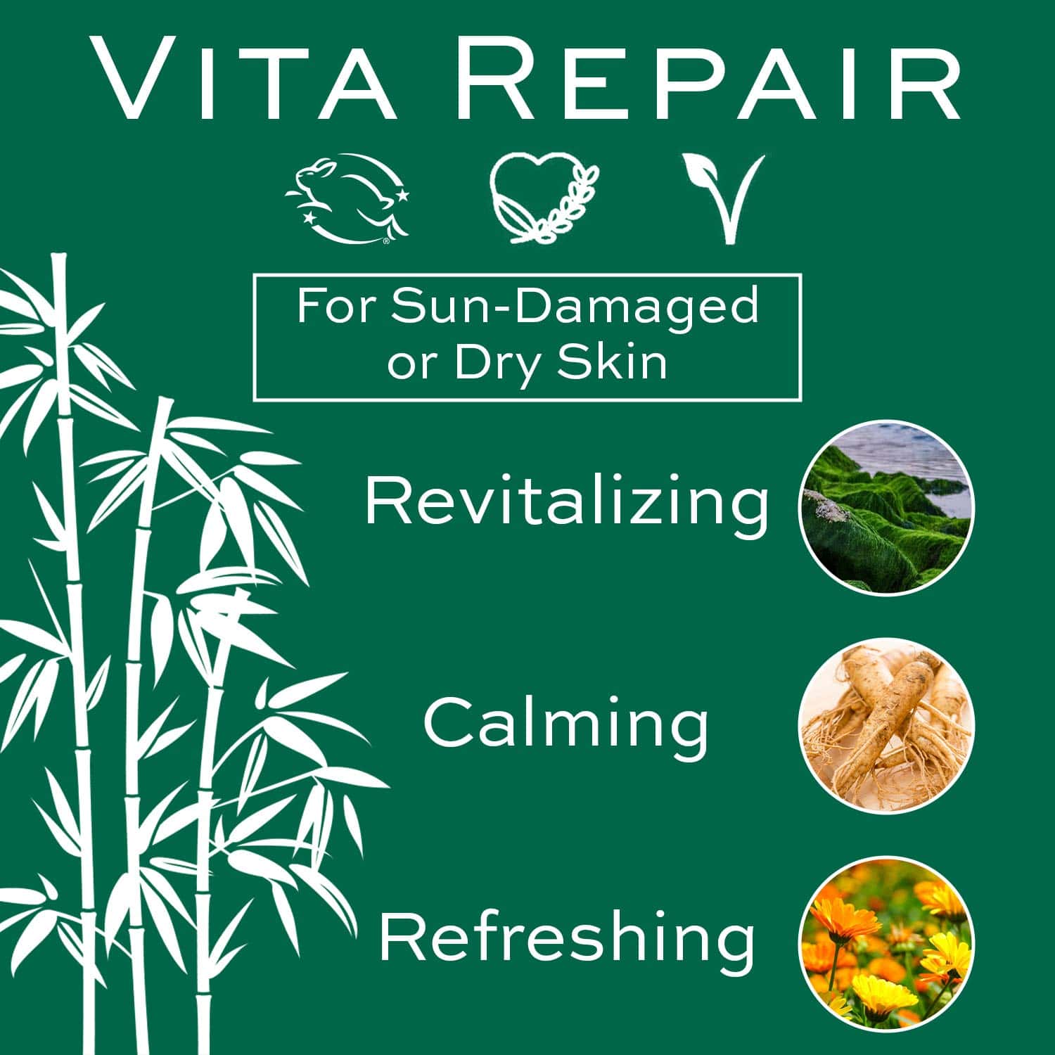 Suero Reparador para la Piel Christine Valmy Skin - Imagen 4