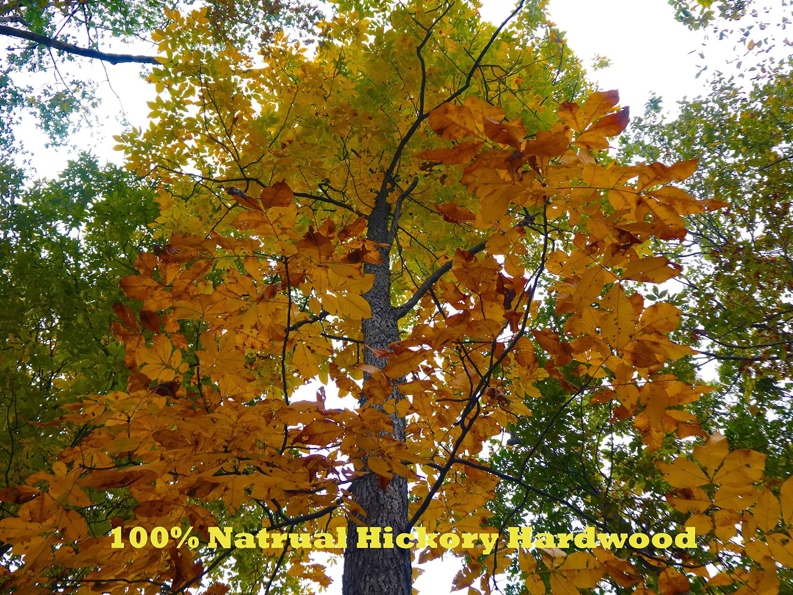 Family Farm & Feed | Asador de Barbacoa Ahumado Hornada - Imagen 6