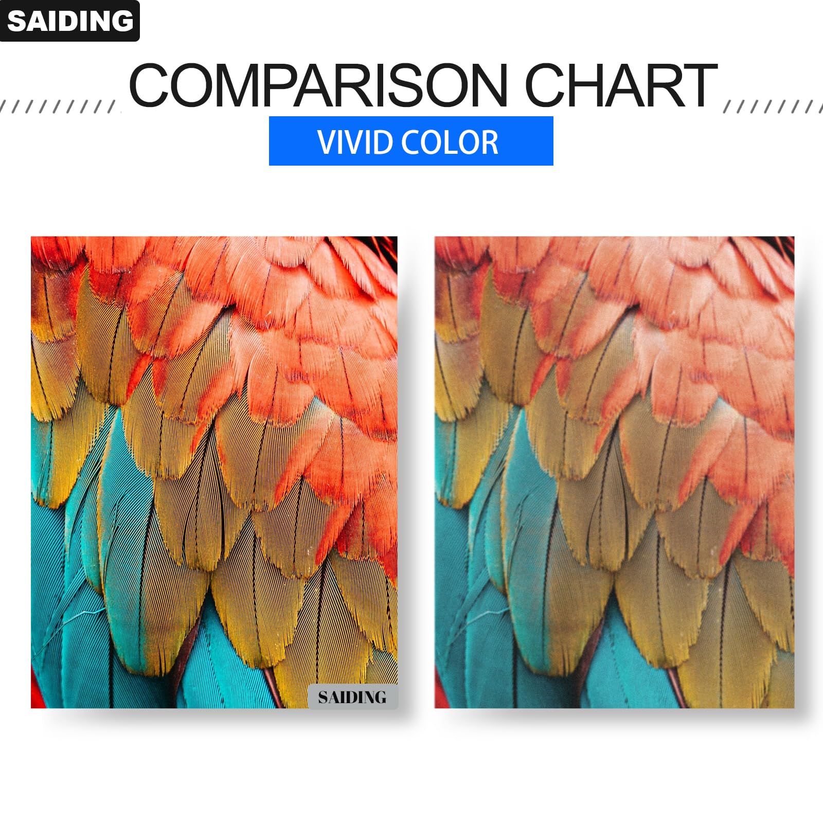 Unidad de tambor Phaser 6510 Workcentre 6515 108R01417 - Imagen 6