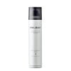 Milbon Dry Texturizing Spray 4