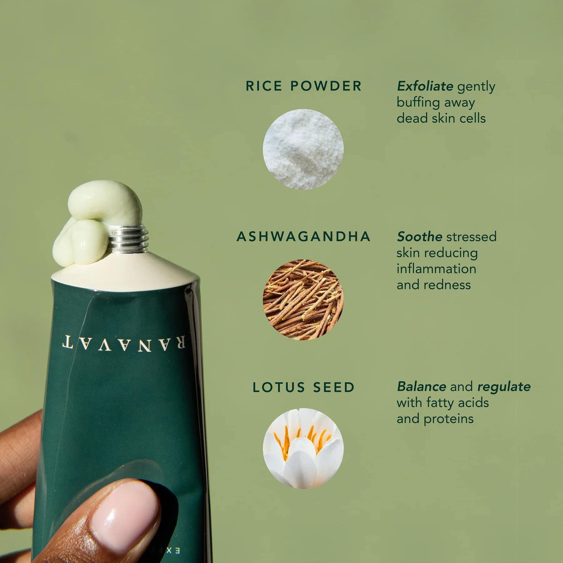 Exfoliante Facial Equilibrante RANAVAT - Exfoliante para la - Imagen 4