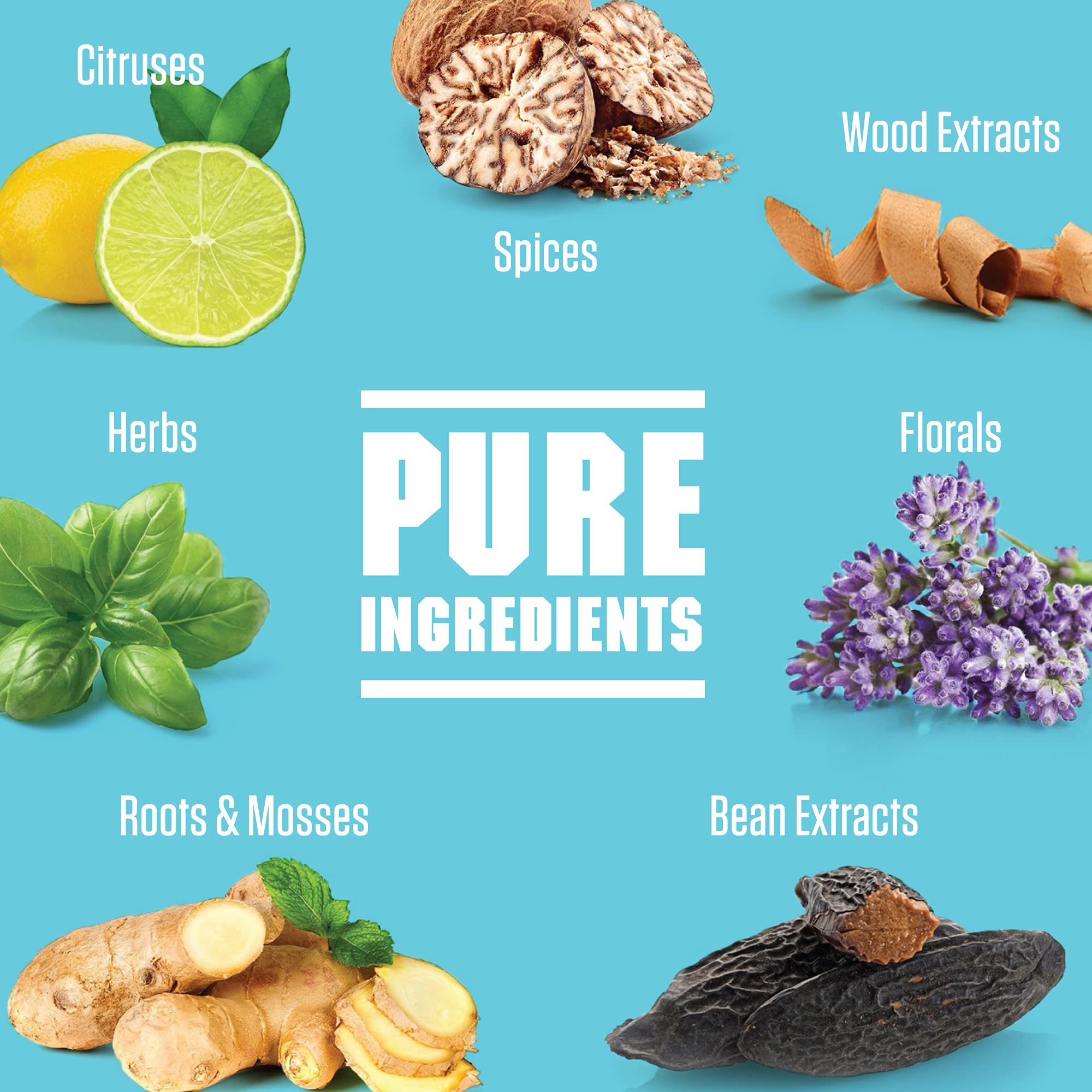 7 Creaciones Originales de M&H de Creed Cologne | Creed - Imagen 6