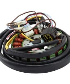 YINNCKE Magneto Encendido Estator Compatible Con Polaris