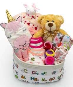 Joyful Arrival Deluxe Baby Girl Gift Basket | Set de Regalo