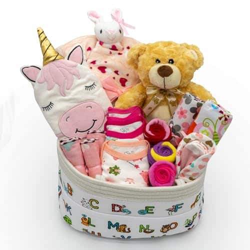 Joyful Arrival Deluxe Baby Girl Gift Basket | Set de Regalo
