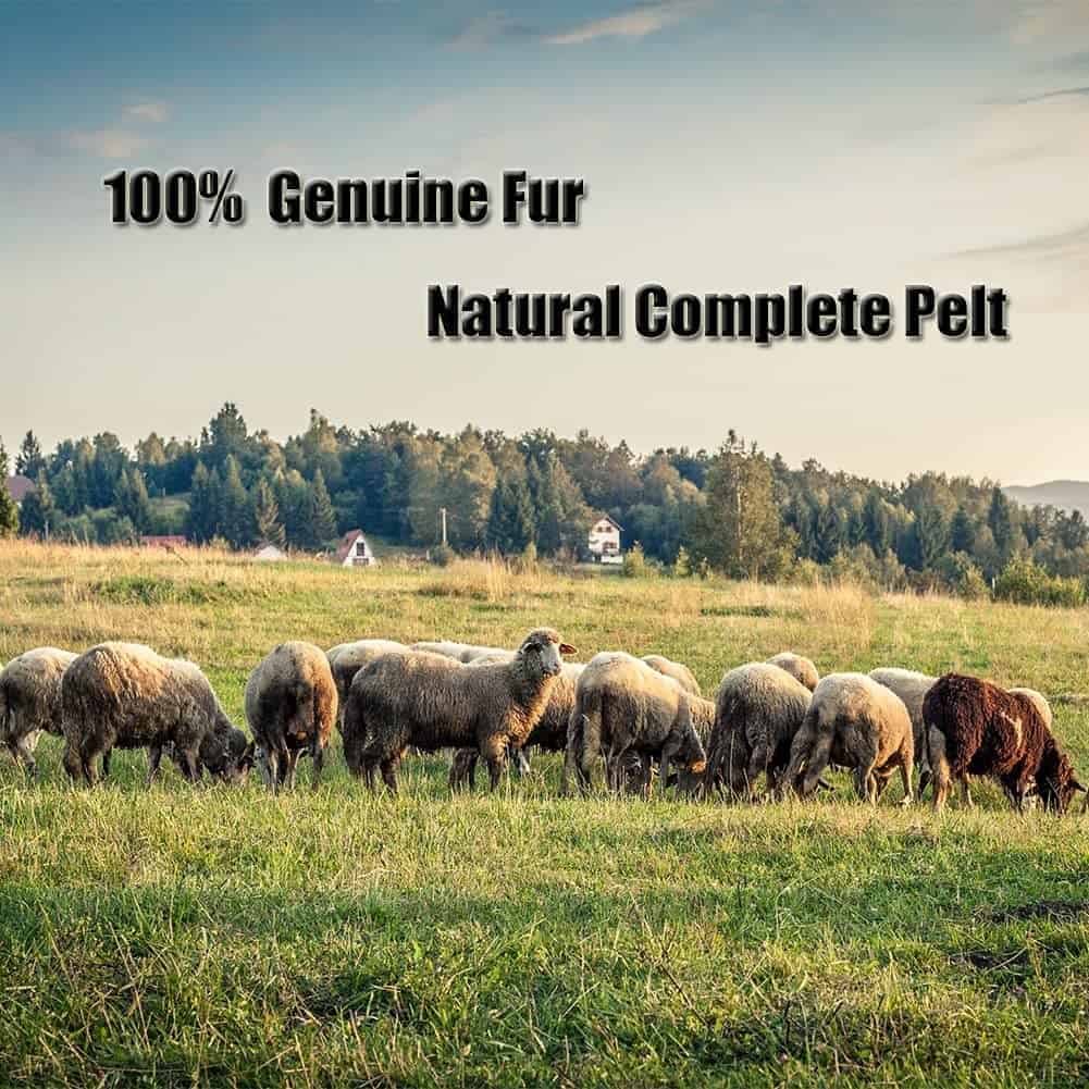 Fundas de asiento de piel auténtica de oveja real para - Imagen 8