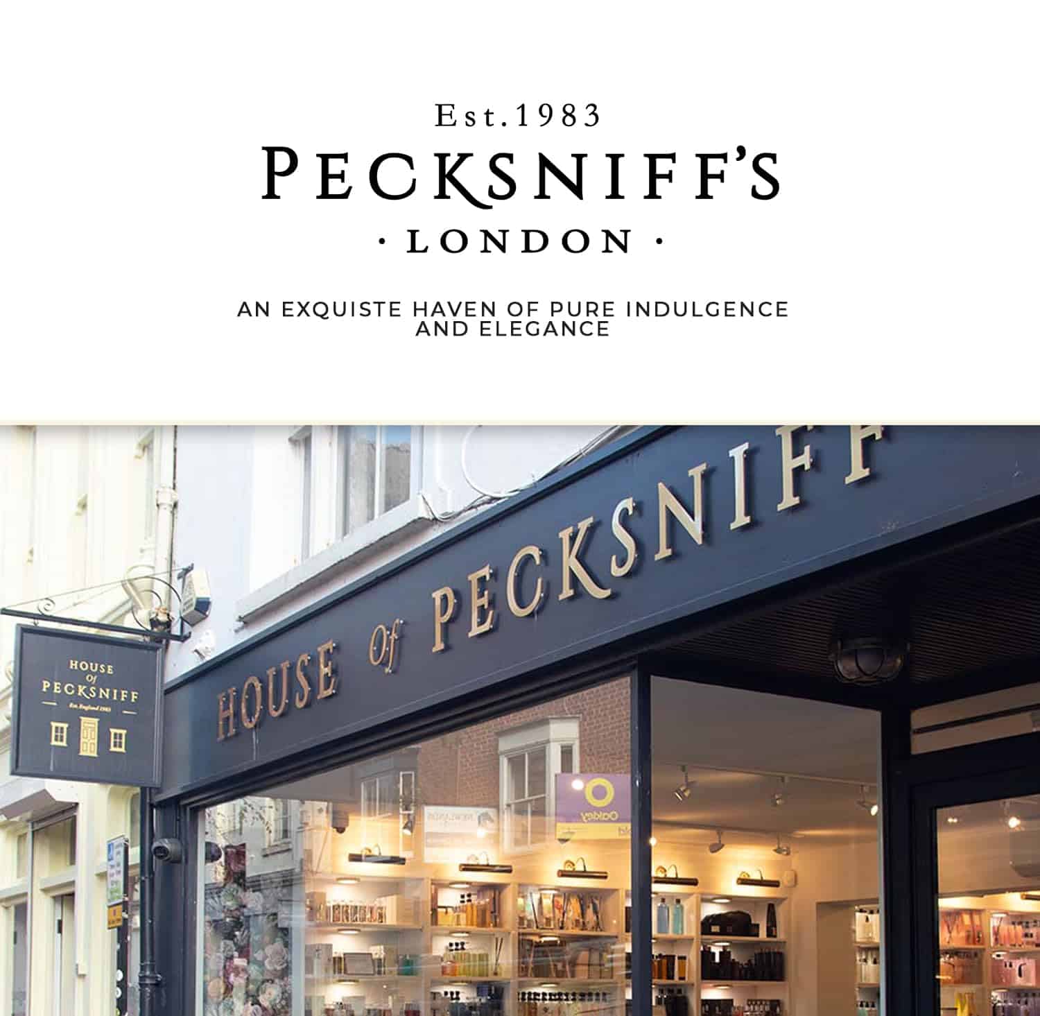 Gel de limpieza 3 en 1 profesional de Pecksniff's | 1L/1000 - Imagen 10