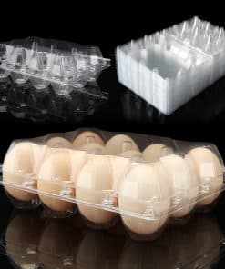 FVIEXE 48PCS Cartones de Huevos Baratos a Granel, Cada Uno