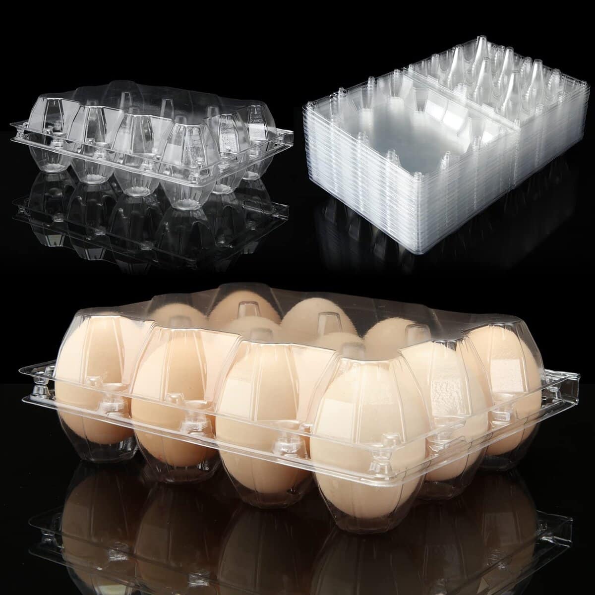 FVIEXE 48PCS Cartones de Huevos Baratos a Granel, Cada Uno