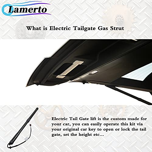 Par de amortiguadores de gas para portón eléctrico LR051443 - Imagen 4