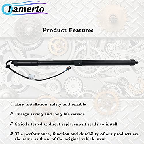 Par de amortiguadores de gas para portón eléctrico LR051443 - Imagen 6
