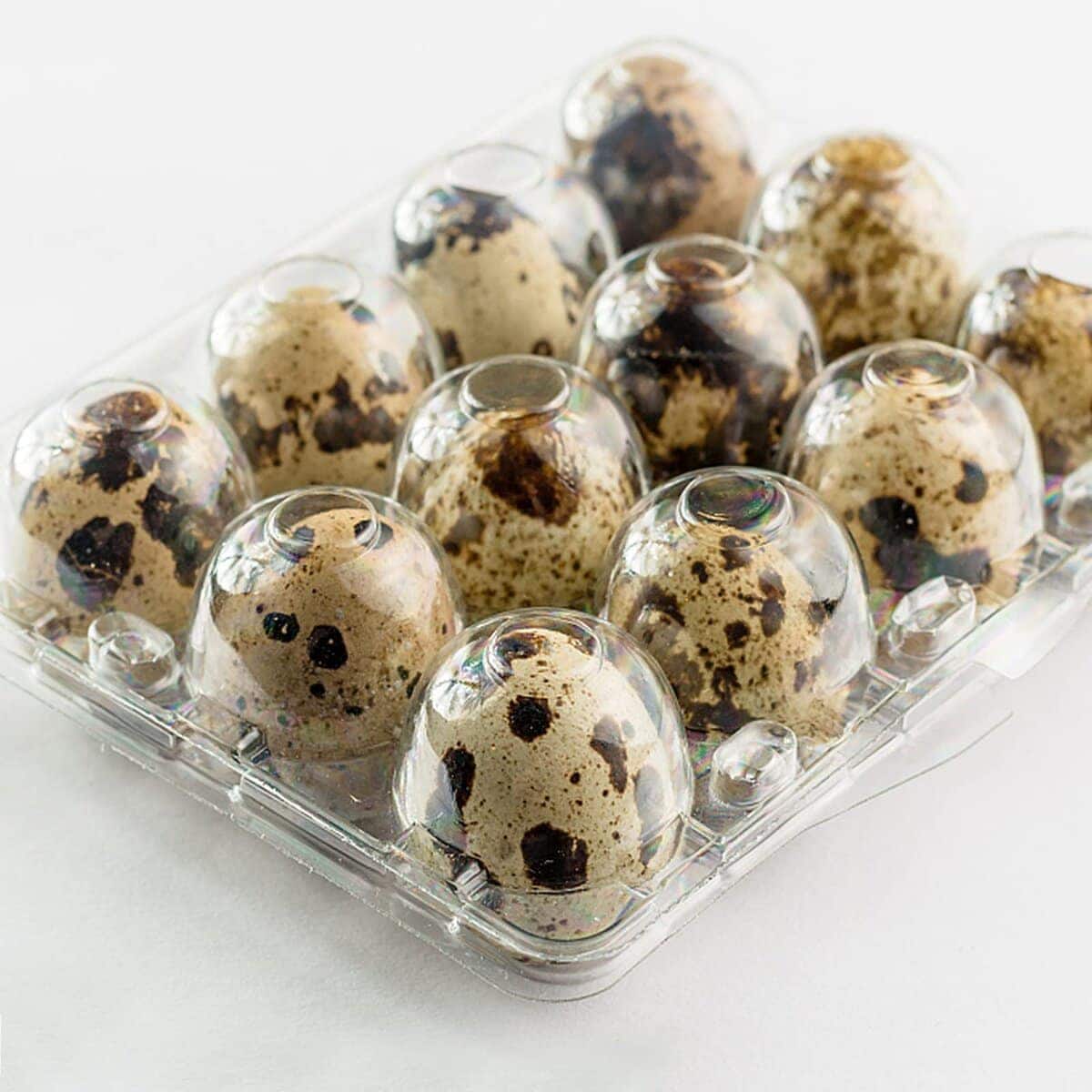JAPCHET 120 Pack 12 Grid Quail Egg Cartons, Reutilizable - Imagen 7