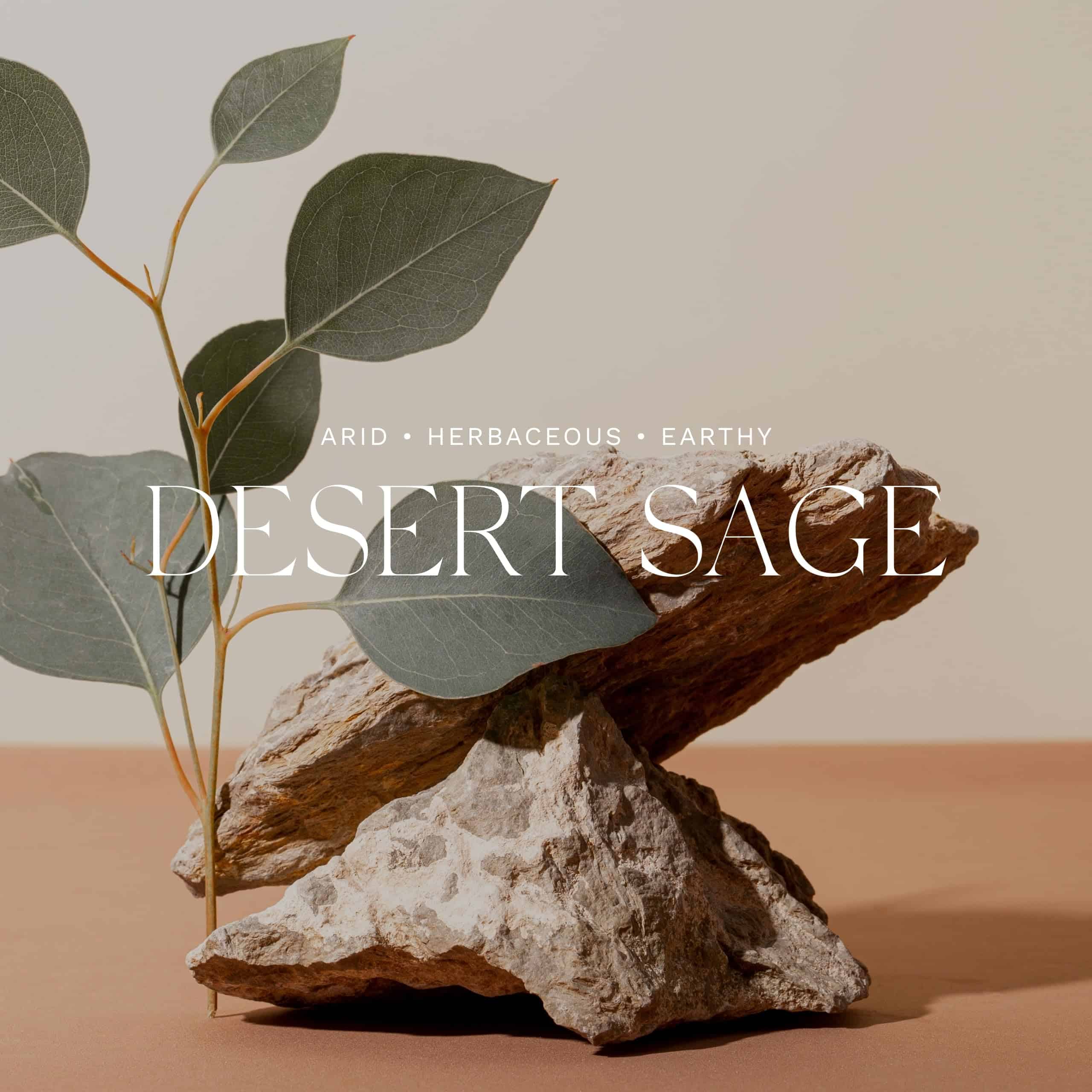 Antica Farmacista Room Spray - Desert Sage, 3.4 Fl Oz (Pack - Imagen 4