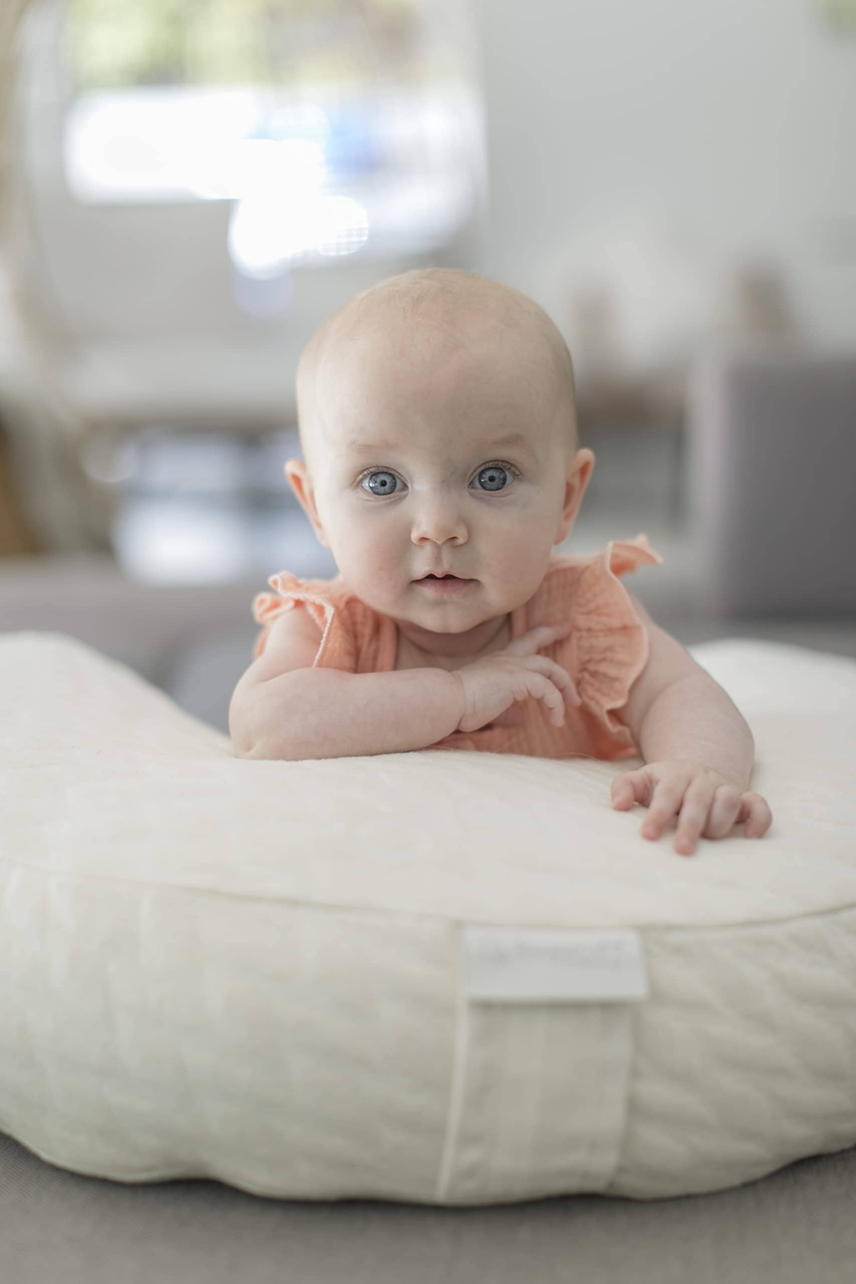 Almohada de lactancia convertible Ruggish Perch 17" x 7" + - Imagen 6