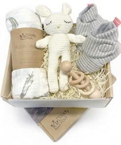 Canasta de regalo para bebé Moody Park - Artículos para