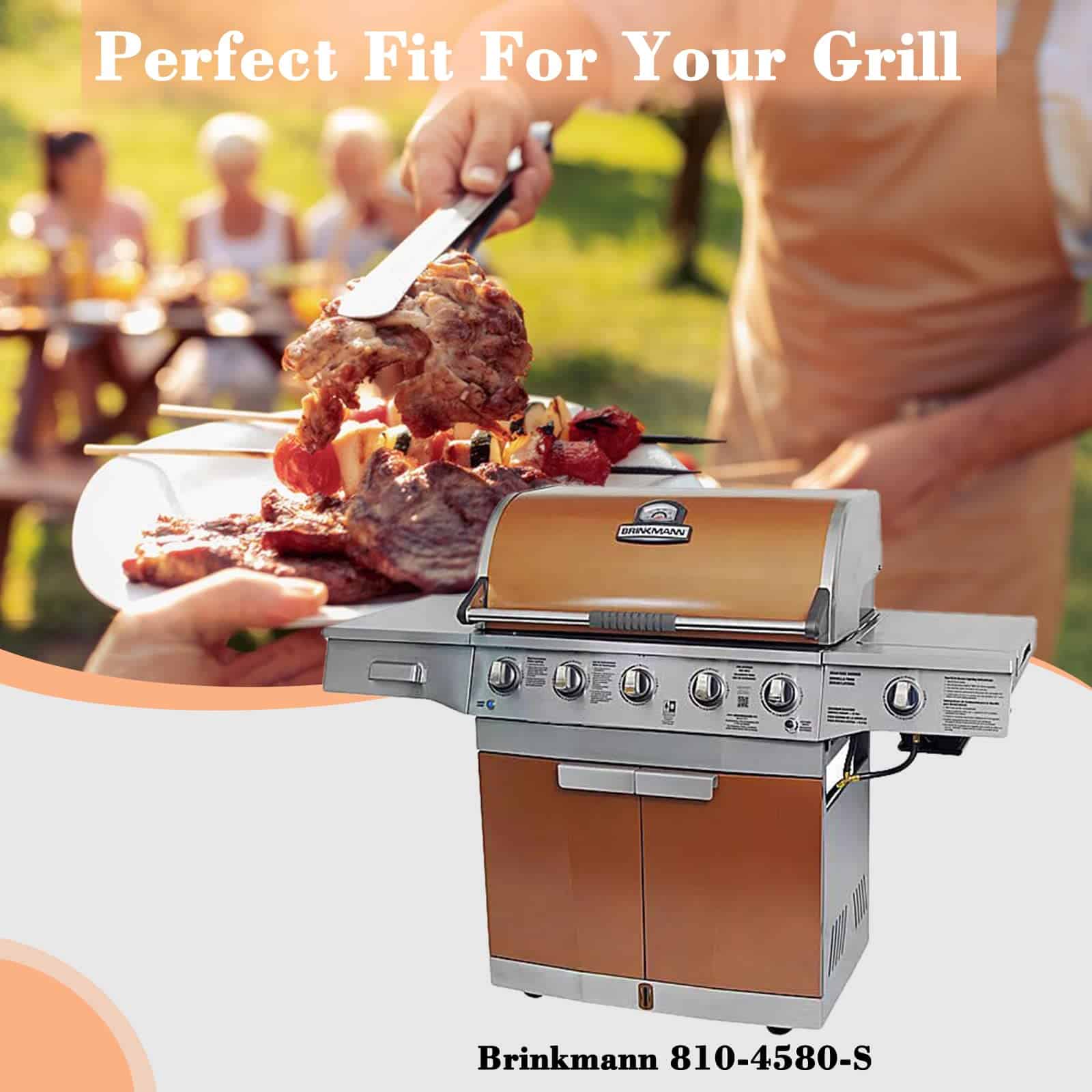 Adviace Piezas de Repuesto para Parrilla Brinkmann - Imagen 3