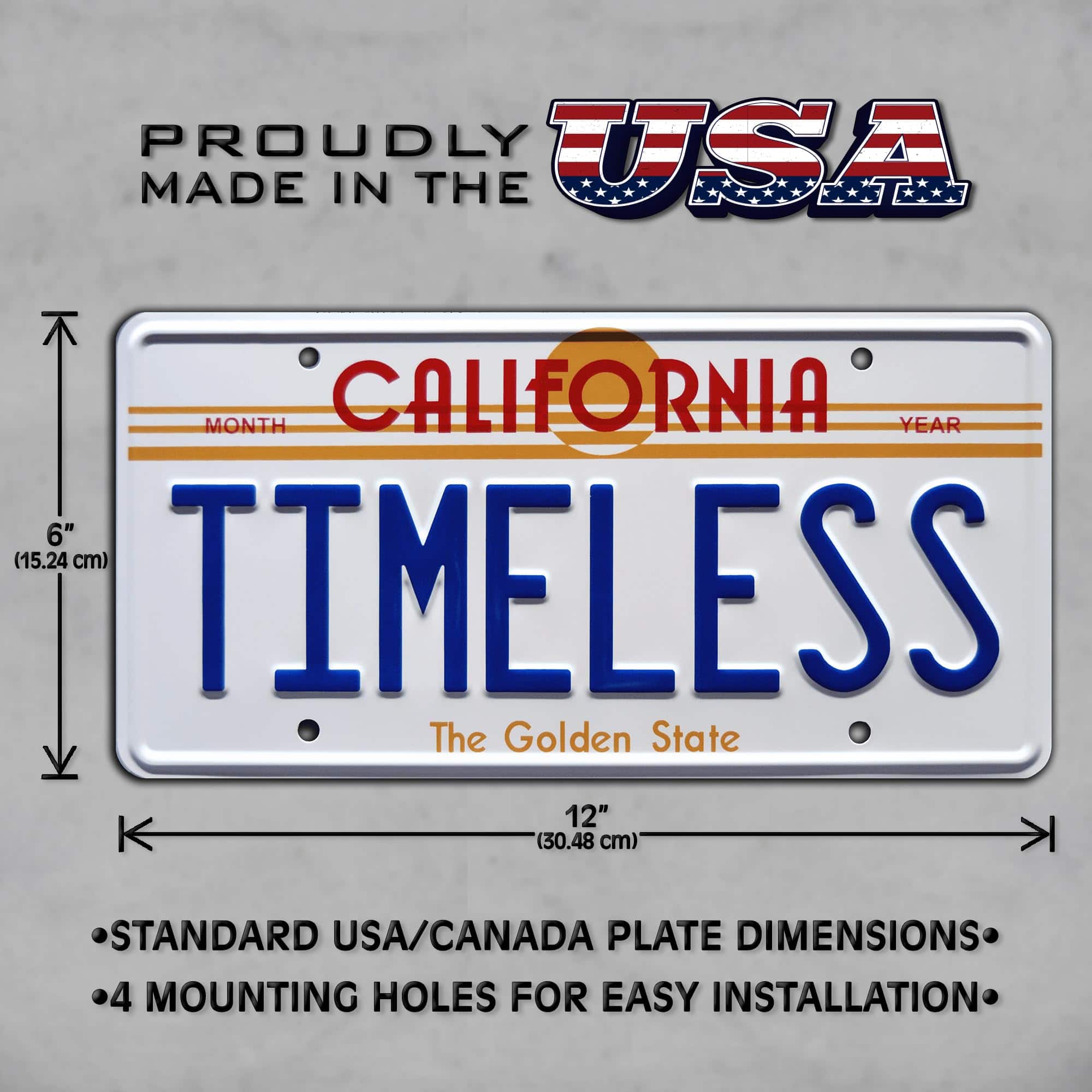 Back to the Future | OUTATIME + TIMELESS | Placas de - Imagen 6