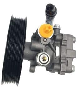 Bomba de dirección asistida nueva WSbaodan 49100-78K00