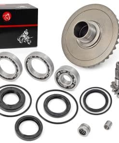 Kit de cojinete de anillo de engranaje diferencial trasero