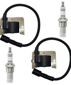 Paquete de 2 Módulos de Bobina de Encendido 12 584 04-S