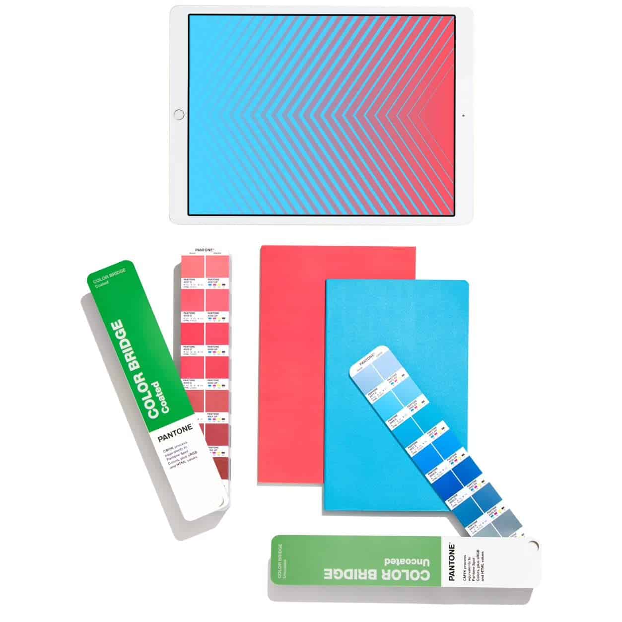 Set de Guía de Colores Pantone Color Bridge - Recubiertos y