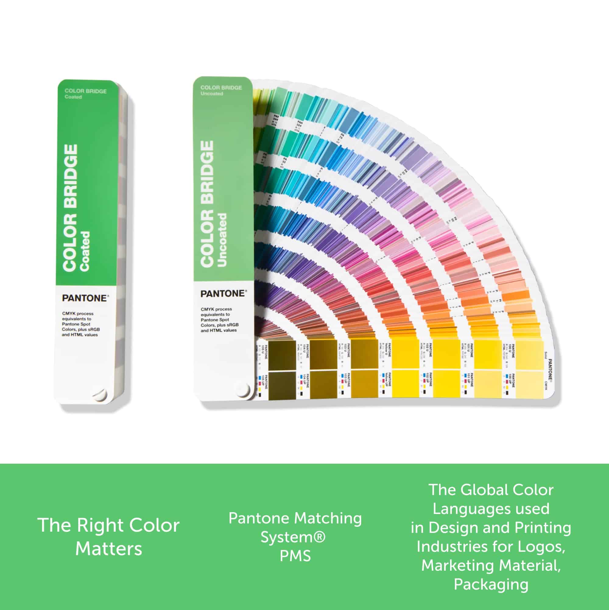 Set de Guía de Colores Pantone Color Bridge - Recubiertos y - Imagen 4