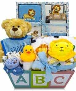 Canasta de regalo Deluxe de 15 piezas para recién nacidos |