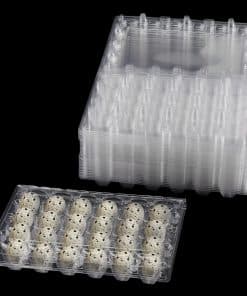 LEXININ 100PCS 24 Grid Quail Egg Cartons, Contenedores de