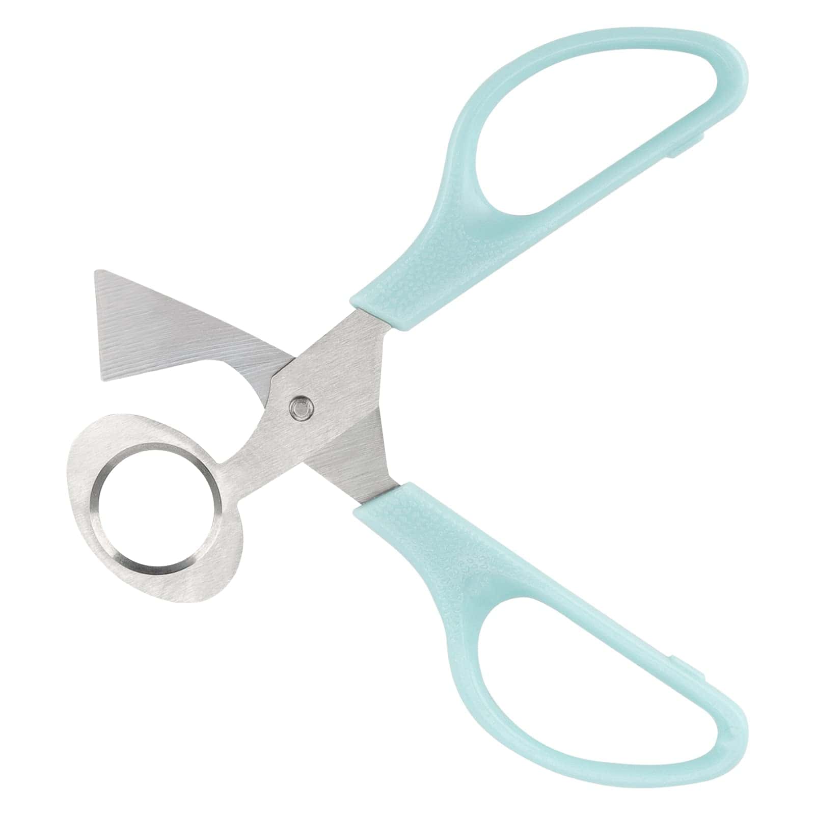 MAHIONG 100 Pack de Cartones para Huevos de Codorniz, - Imagen 6