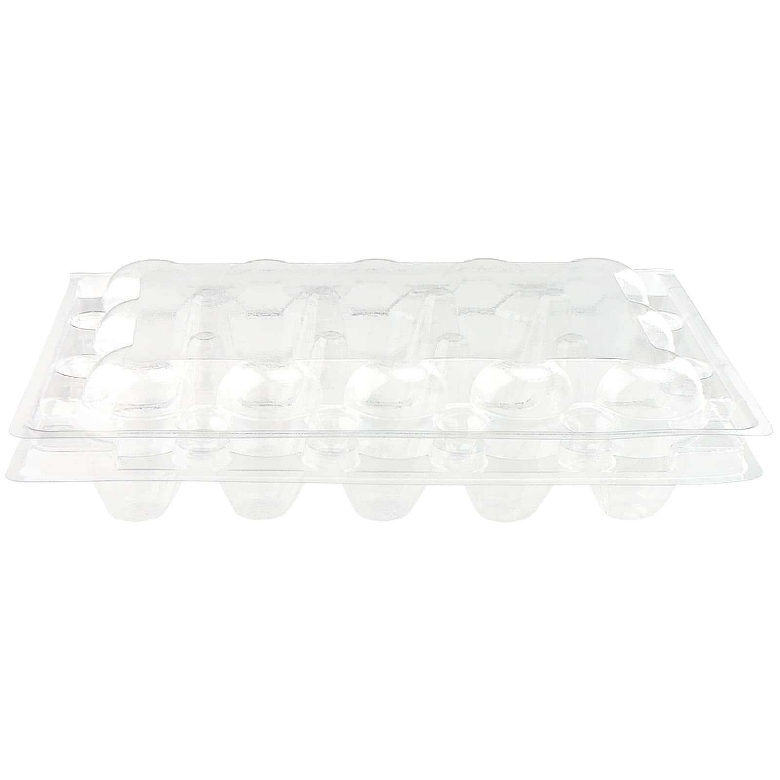 MAHIONG 100 Pack de Cartones para Huevos de Codorniz, - Imagen 5