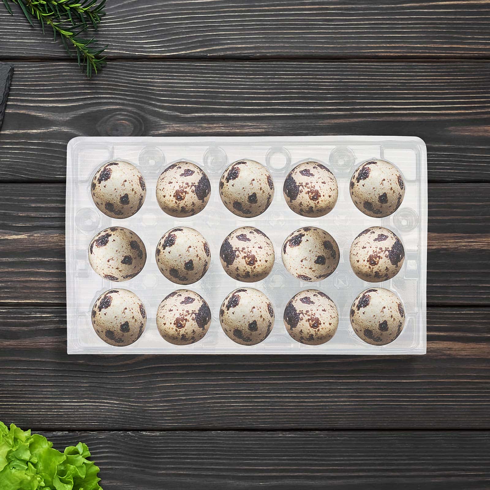 MAHIONG 100 Pack de Cartones para Huevos de Codorniz, - Imagen 8