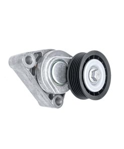 Polea de Tensor de Correa de Transmisión HICKS 38195