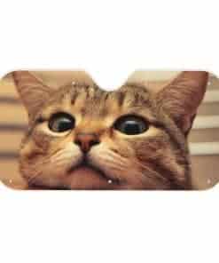 Parabrisas de Coche Proteccion Solar Gato Lindo Visera