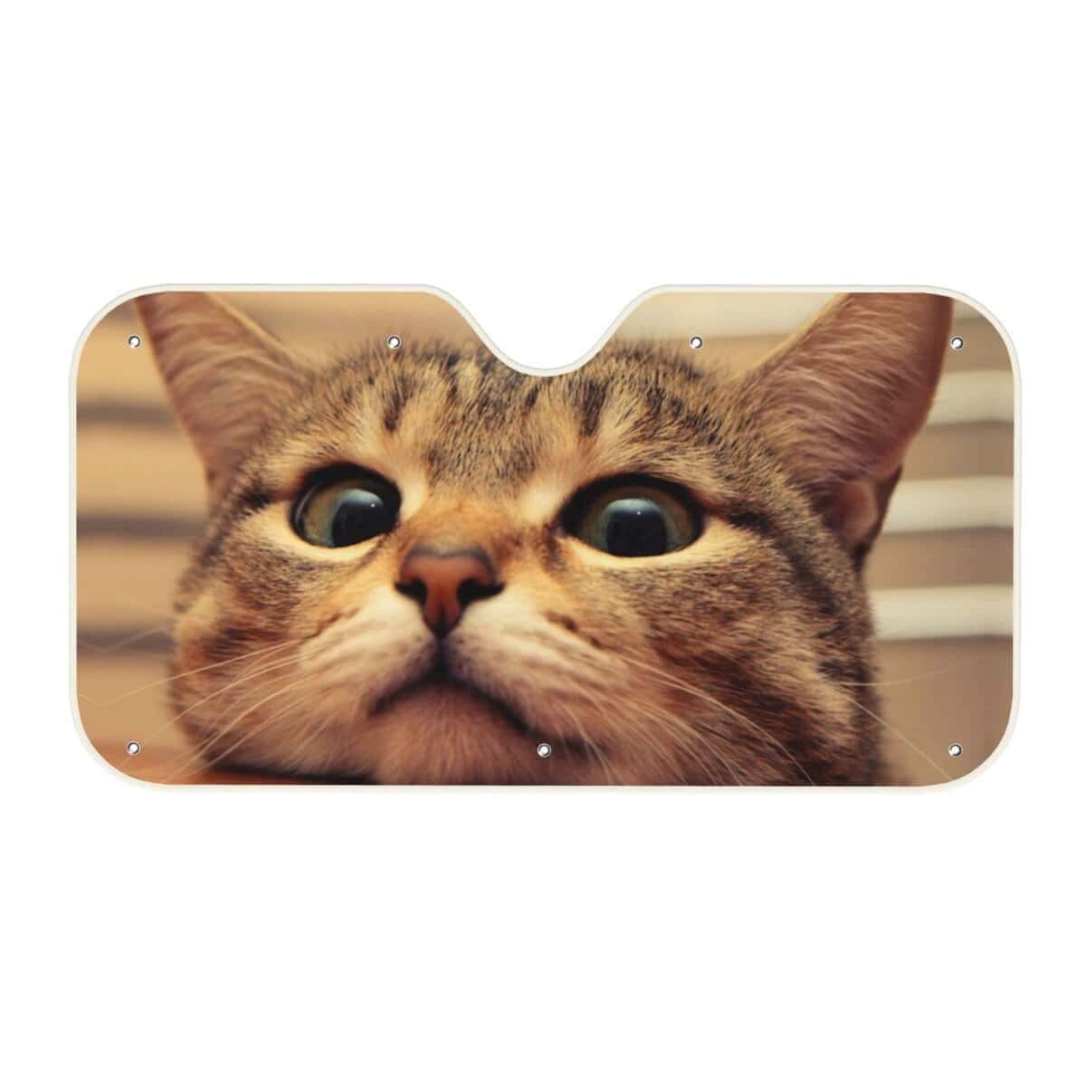 Parabrisas de Coche Proteccion Solar Gato Lindo Visera