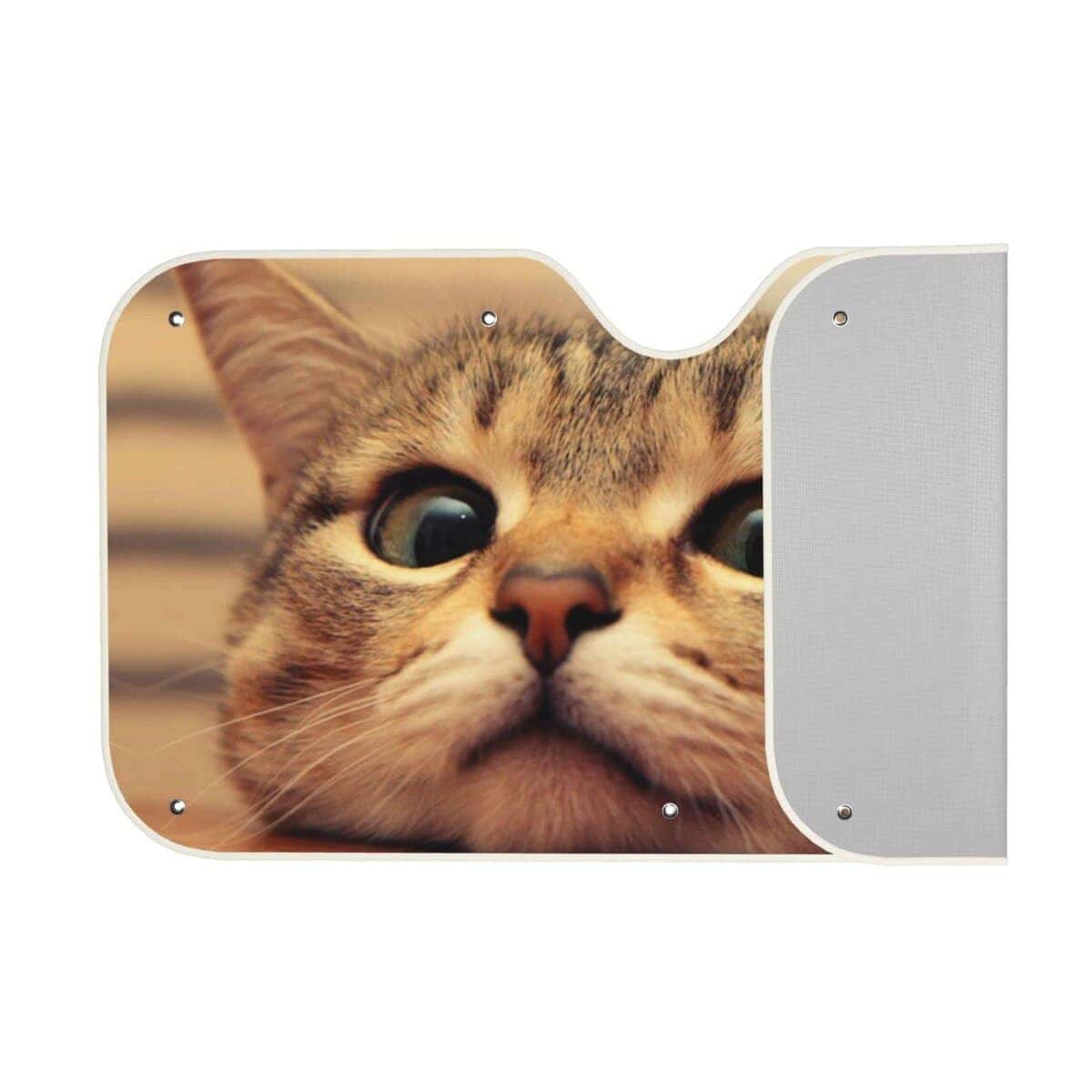 Parabrisas de Coche Proteccion Solar Gato Lindo Visera - Imagen 3