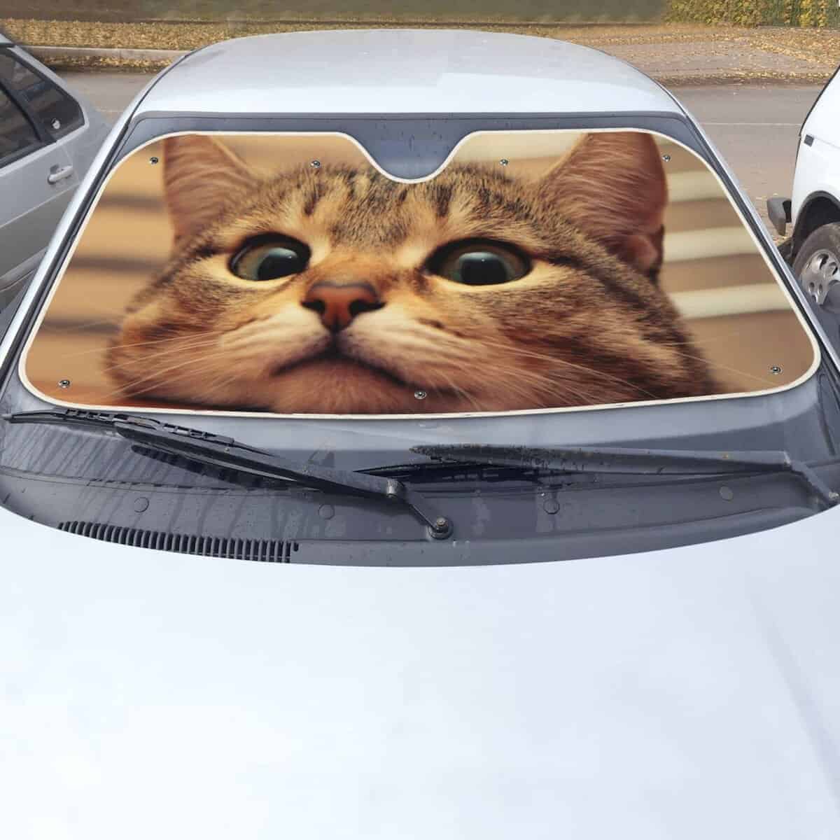 Parabrisas de Coche Proteccion Solar Gato Lindo Visera - Imagen 5