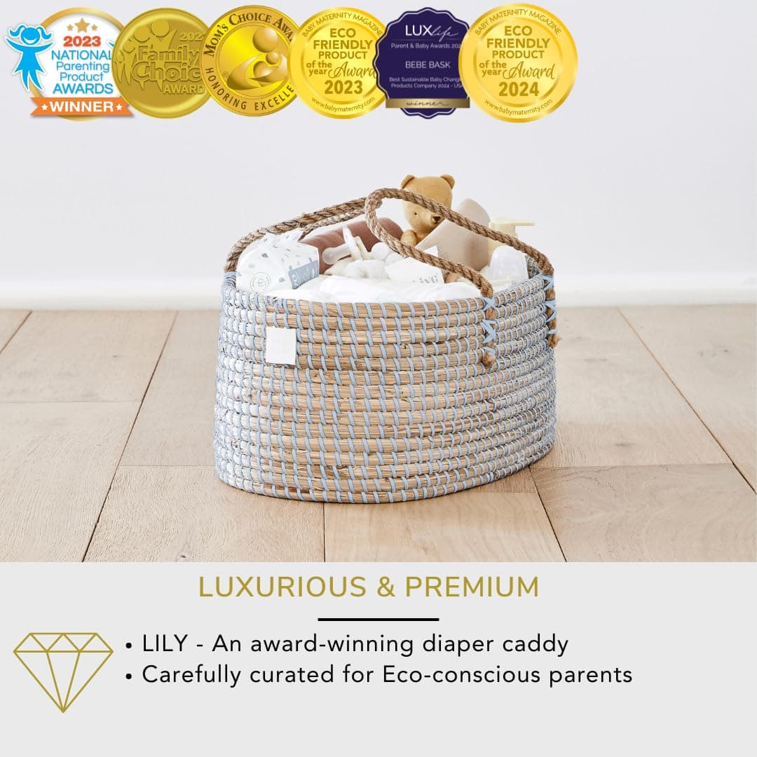 Organizador de Pañales para Bebé BASK Premium en Color Azul - Imagen 3