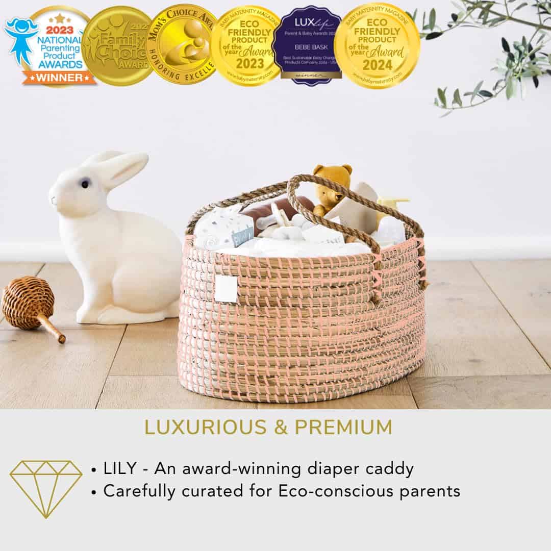 Organizador de pañales para bebé BEBE BASK Premium Pink - - Imagen 3