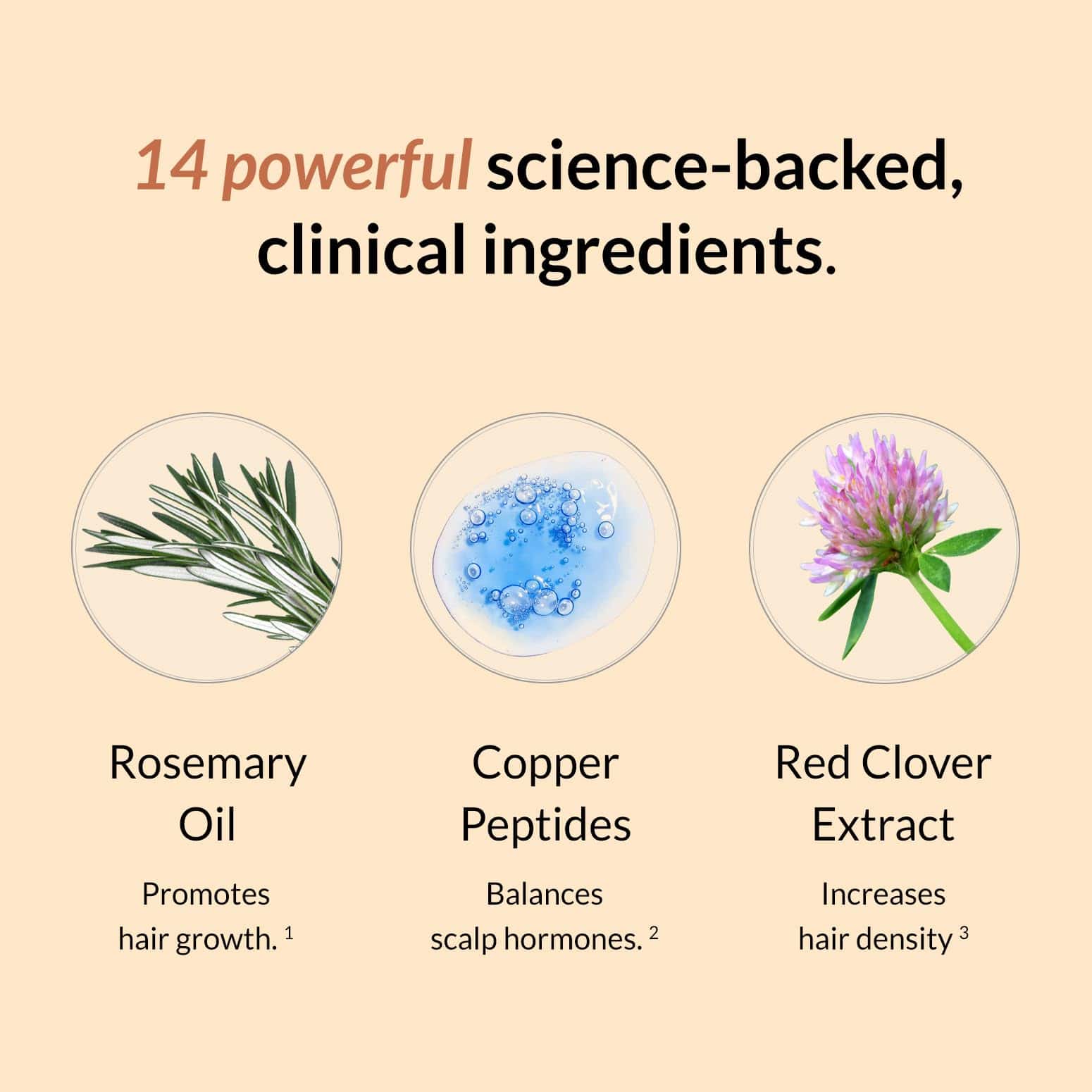 Suero para el Crecimiento del Cabello FullyVital - Suero - Imagen 5