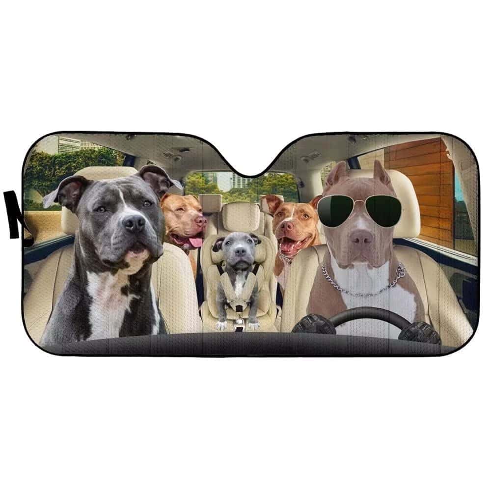 Protector Solar para Ventana Delantera de Automóvil con - Imagen 3