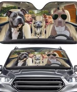 Protector Solar para Ventana Delantera de Automóvil con