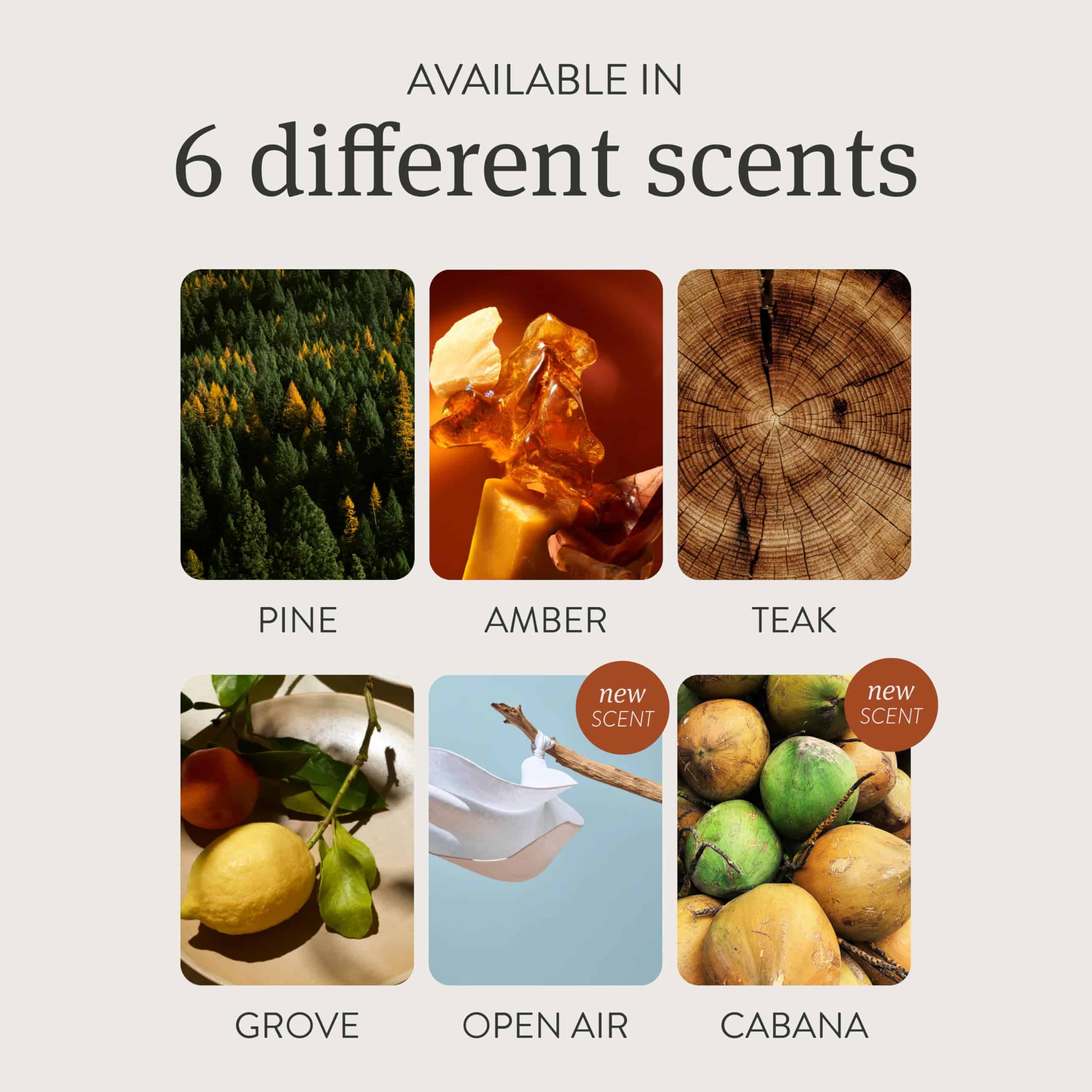 Eliminador de olores para coche Drift - Ambientador de - Imagen 6