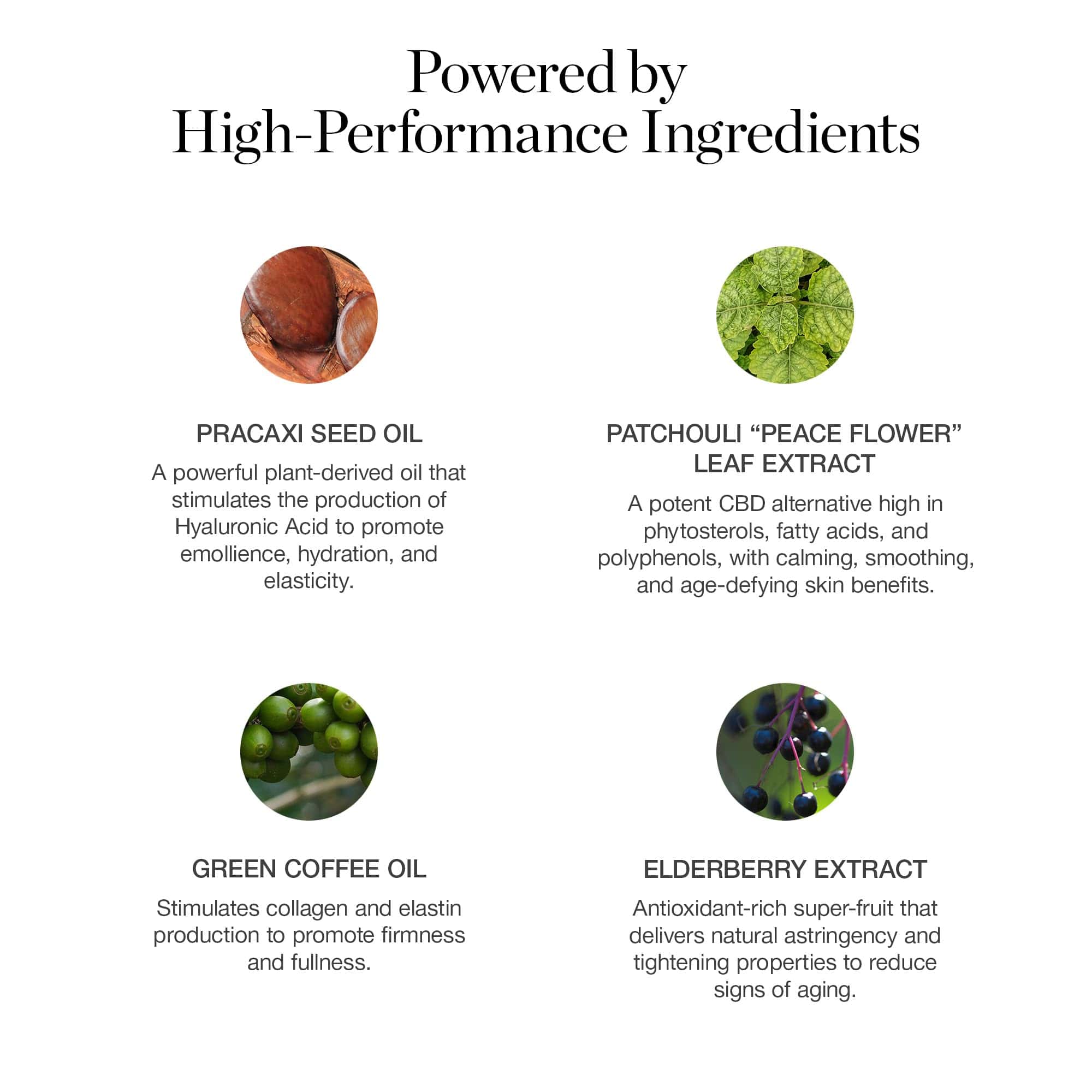 Base de maquillaje en barra Ogee Sculpted Complexion (Birch - Imagen 4