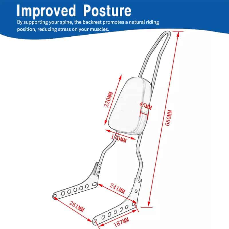 Nuevo Respaldo de Asiento Trasero Cromado Sissy Bar - Imagen 8