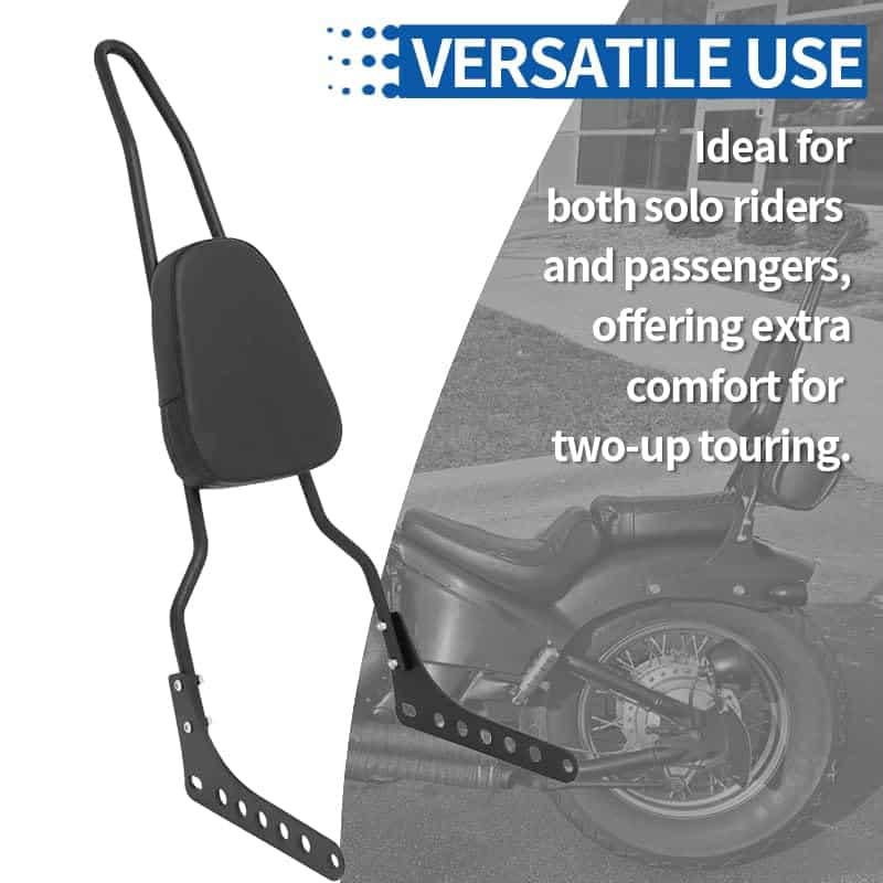 Nuevo Respaldo de Asiento Trasero Cromado Sissy Bar - Imagen 5