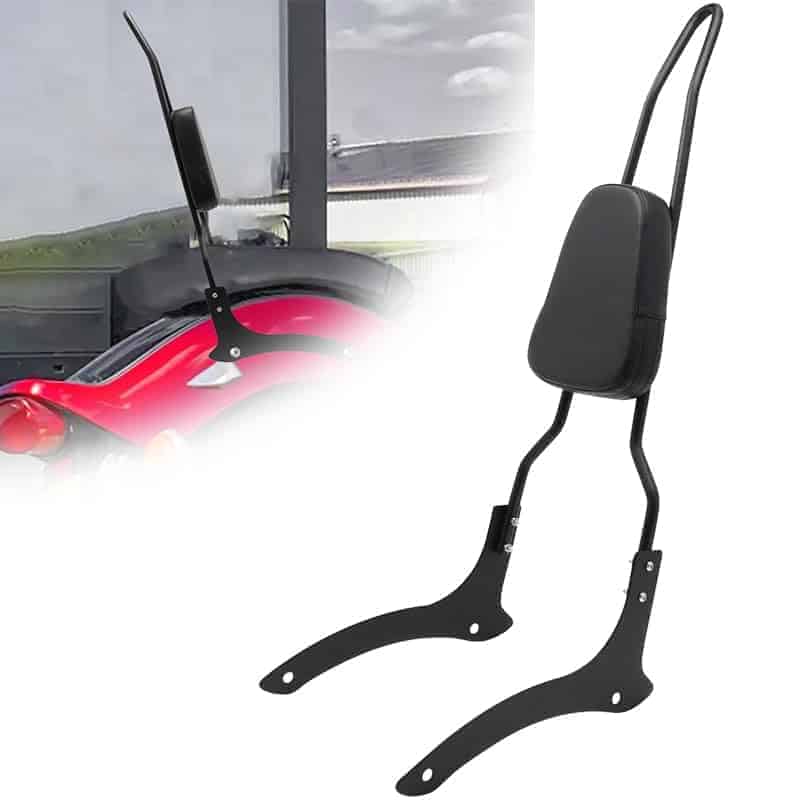 Respaldo confortable de asiento trasero para motocicleta
