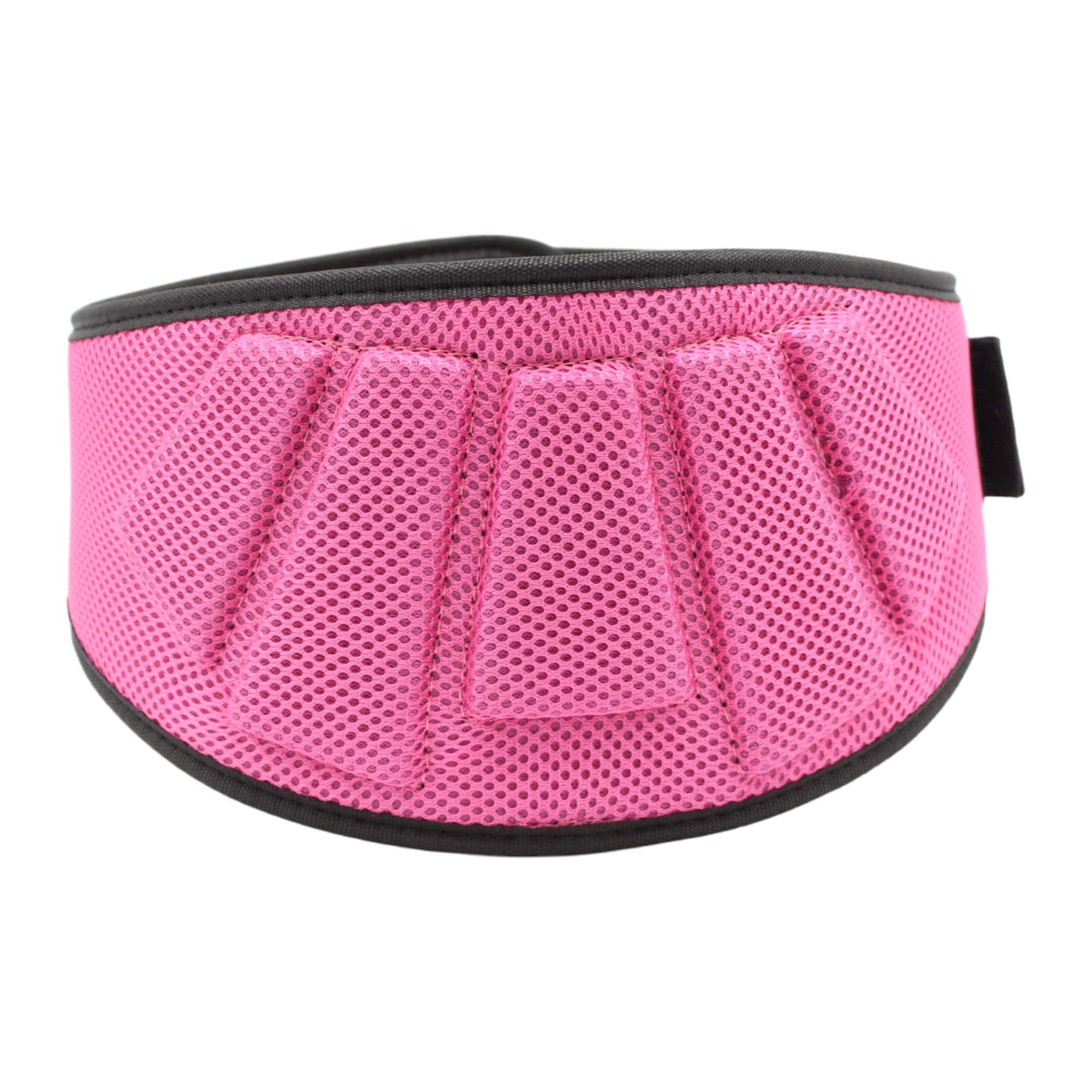 Cinturón de Entrenamiento de Levantamiento de Pesas de