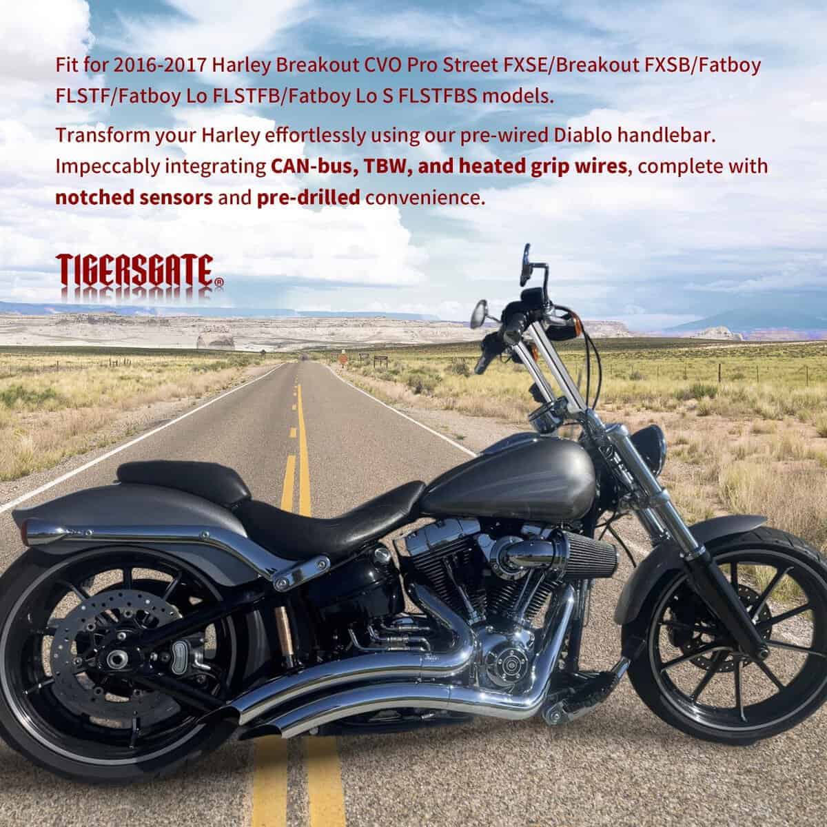 TIGERSGATE PRE-WIRED 12" Rise Diablo Ape -Cromo - Imagen 3