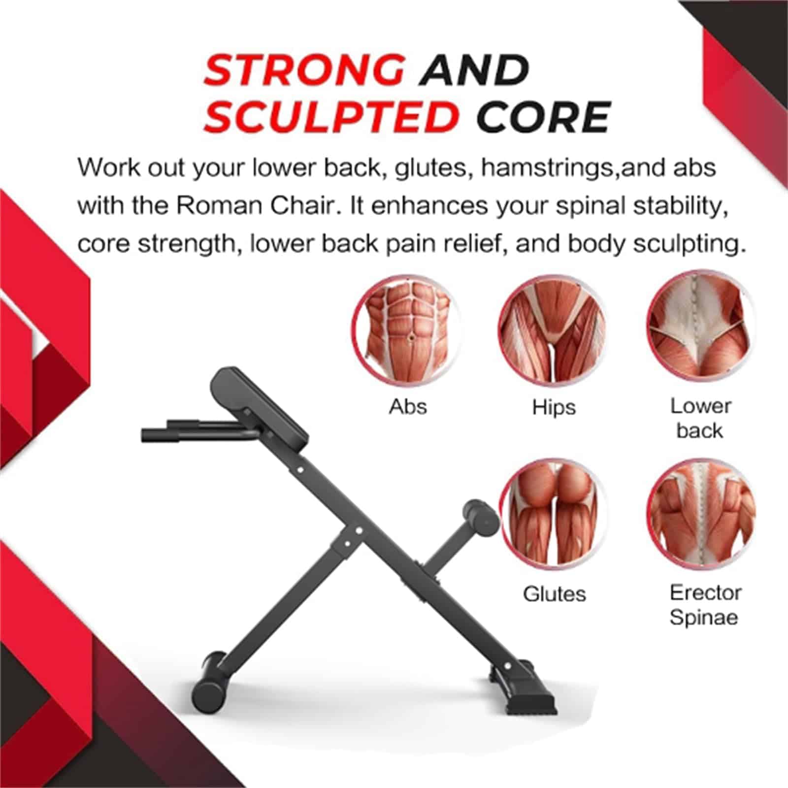 Banca de hiperextensión de 45 grados - Altura y respaldo - Imagen 4